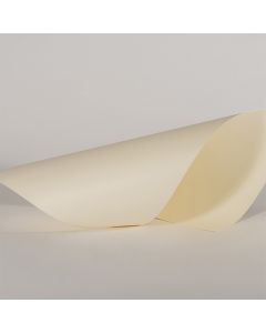 Papel de textura de grano Superfine Eggshell color marfil